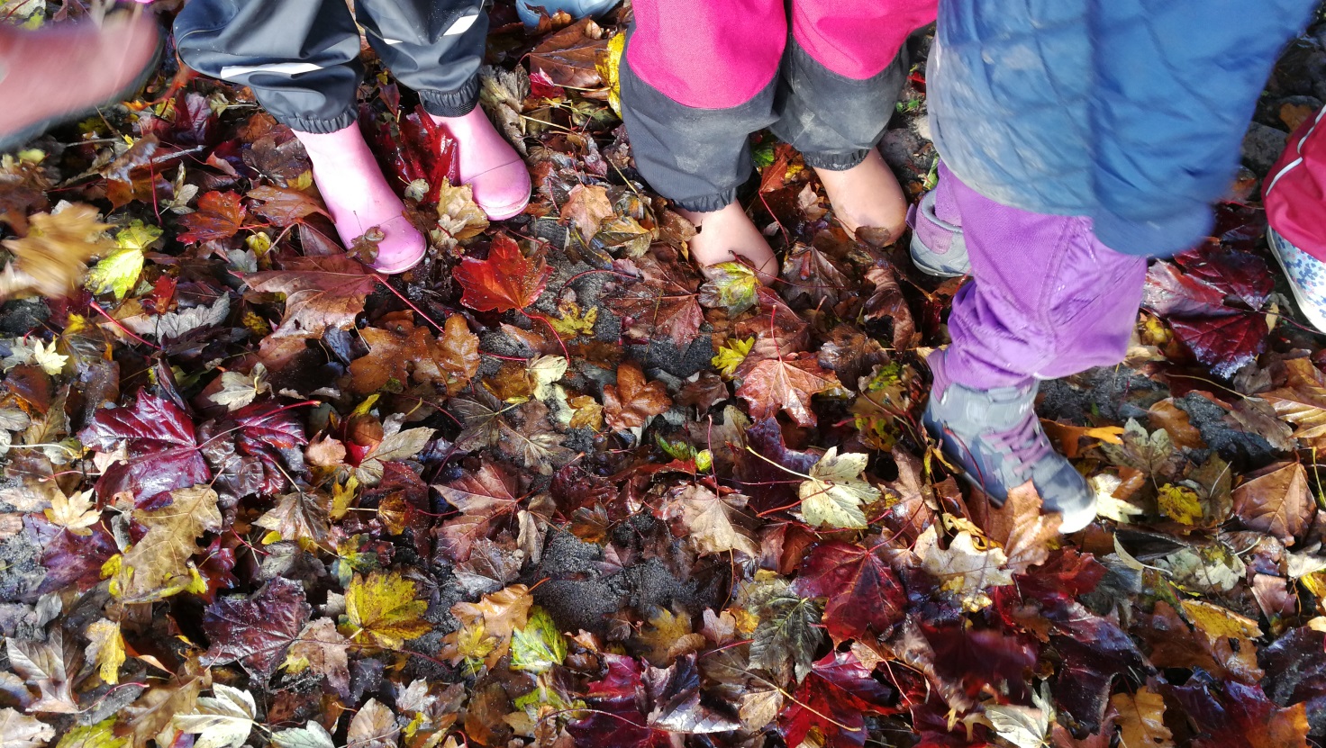 Børne støvler i efterårs blade
